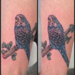 Blauer Wellensittich Tattoo an der Wade tätowiert von Mari Rocks im Tattoo-Atelier Tattoohütte Wieslauftal-Remstal bei Schorndorf