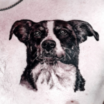 Realistisches Hunde-Portrait Tattoo gestochen von Mari Rocks im Tattoo-Atelier Tattoohütte Wieslauftal-Remstal bei Schorndorf