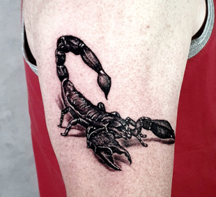 Detailierter 3D Skorpion Tattoo auf dem Arm in die Haut gezaubert von Mari Rocks im Tattoo-Atelier Tattoohütte Wieslauftal-Remstal bei Schorndorf
